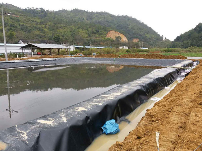 魚(yú)塘專用防滲膜